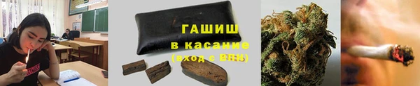 дживик Магас