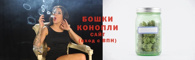 дживик Магас