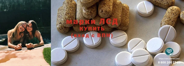 дживик Магас